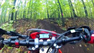 Terra Nova 2017 Test 2