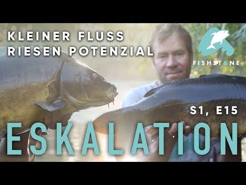 FISHSTONE's Angelwelten S1E15  - NO PAIN NO GAIN Krasse Angelnacht am Junglefluss