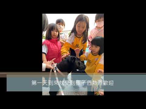 文化國小校犬OREO-新北市109年校園犬貓影片網路票選活動