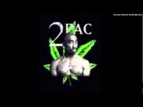 DJ Chrisi & Young Esqo - 2 Pac Feat. Redman - Smokin' Too Much Weed (ReMix)