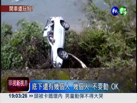 開車載狗分心 撞電桿栽進河床!