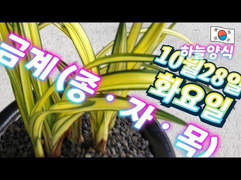 유튜브 썸네일