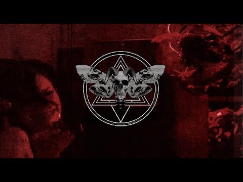 ✚  PIGLUNGS - PARASITE (DEPTHSTRIDA X ZAR)