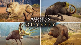 Assassin&#39;s Creed Odyssey - Killing All 8 Legendary Animals ( Daughters of Artemis Questline )