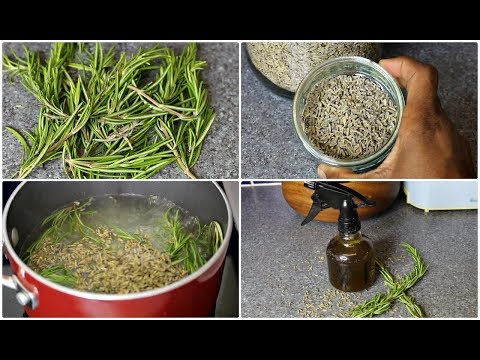 download lagu mp3 mp4 Lavender Rosemary, download lagu Lavender Rosemary gratis, unduh video klip Lavender Rosemary