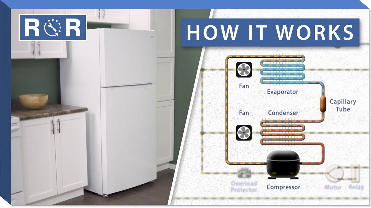 How a Refrigerator Works | Repair & Replace