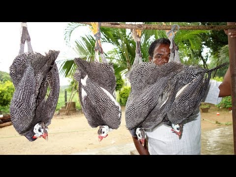 Guinea Fowl Recipe Prepared by My Daddy | DADDY VILLAGE FOOD