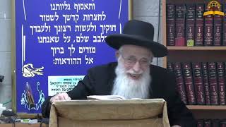 פרשת ויצא תשפ"ו - הרב יהודה יוספי (קו ההלכה הספרדי) - התמונה מוצגת ישירות מתוך אתר האינטרנט יוטיוב. זכויות היוצרים בתמונה שייכות ליוצרה. קישור קרדיט למקור התוכן נמצא בתוך דף הסרטון