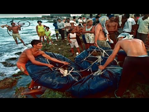 Balseros cubanos: 20 años después de la crisis