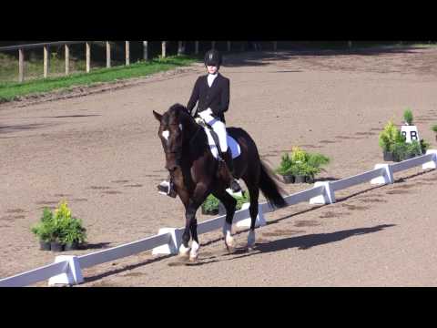 World Dressage Challenge 2015 Preliminary test with Kolers