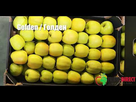 Яблоко сорта Голден