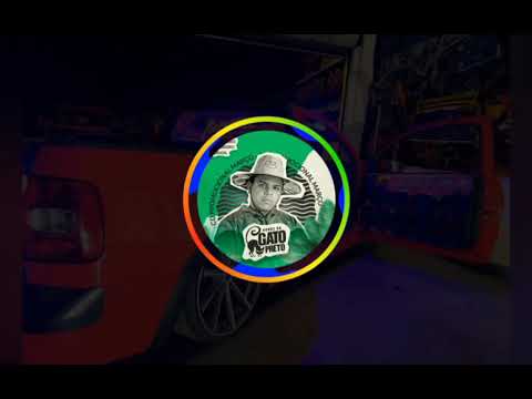 SÓ SOCANDO DENTRO BONDE DO GATO PRETO E MC DRICKA