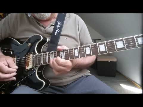 Harley Benton HB35 Test