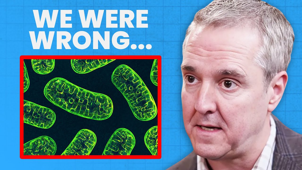 Mitochondria Aren’t Just the Powerhouses of the Cell | Dr. Chris Palmer