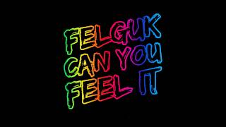 Felguk - Can You Feel It (Original Mix)