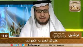 1539 - حكم قتل الحشرات والحيوانات