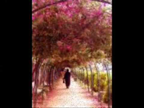 راعية الدلع ... حبيبتي