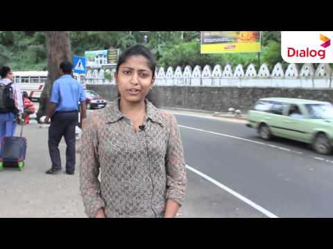 #OurLionsOurPride- Shakila's Wishes for World Cup 2015