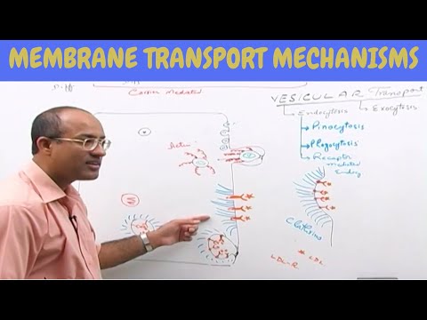 Cell Membrane Transport | Plasma Membrane Transport | Cell Biology🩸