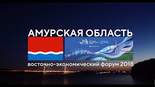 Итоги ВЭФ 2018 Экспозиция Амурской области