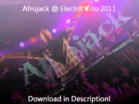 Afrojack Set - Electric Zoo 2011