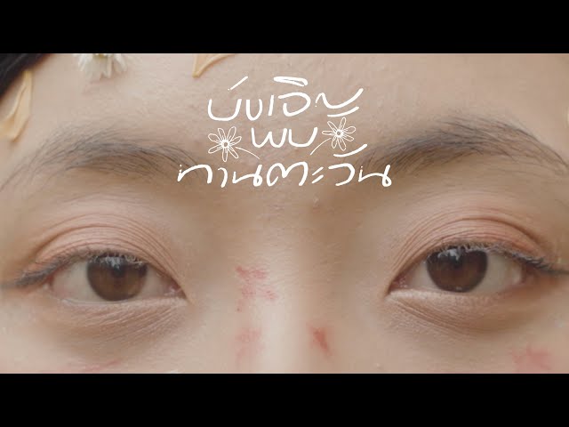 บังเอิญพบทานตะวัน - PURPEECH