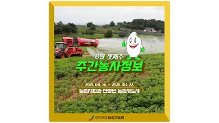 [주간농사정보] 8월 셋째주