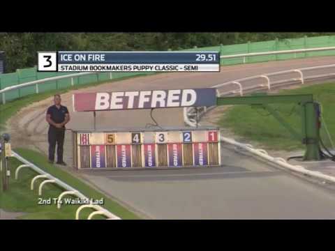 2019 PUPPY CLASSIC - 2ND SEMI - T3 ICE ON FIRE