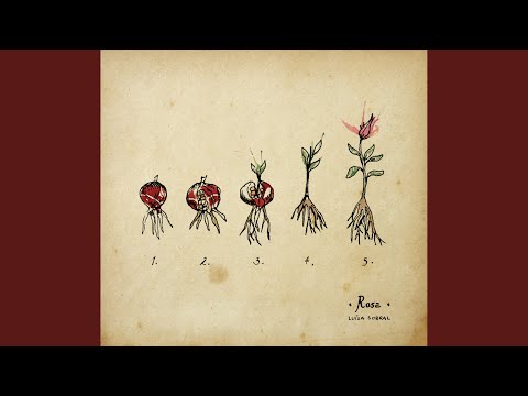 Só Um Beijo (feat. Salvador Sobral)