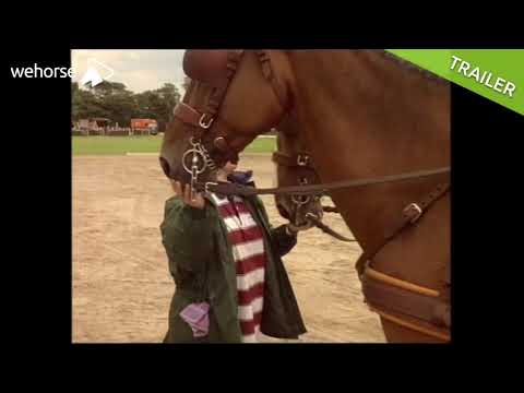 Wie fahre ich einen Vierspänner? | Tjeerd Velstra