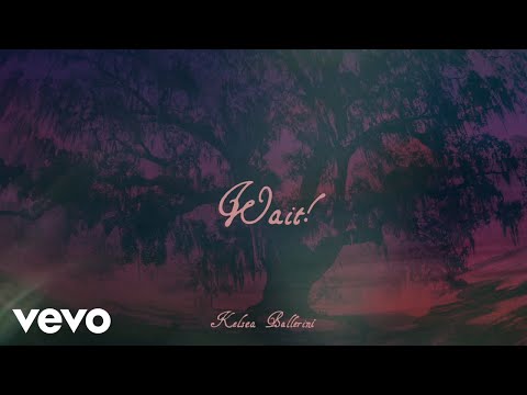 Video thumbnail for WAIT!