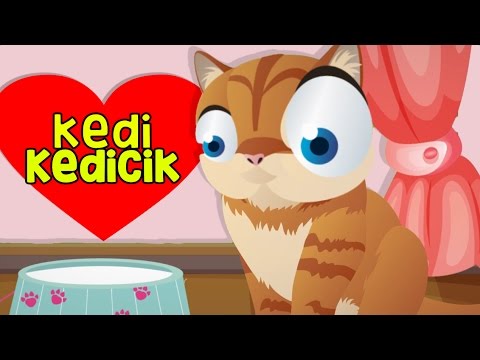 Kedi Kedicik Ben Seni Çok Severim - Yeni Çocuk Şarkısı