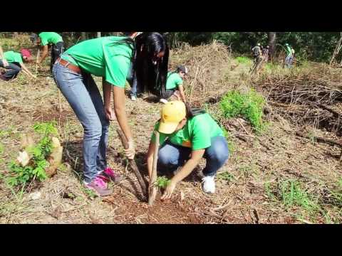 Jornada de Reforestación