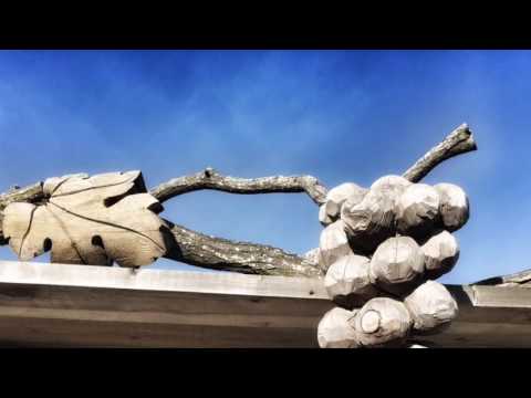 Beautiful Day in Beaujolais... Just before Beaujolais Nouveau Day !