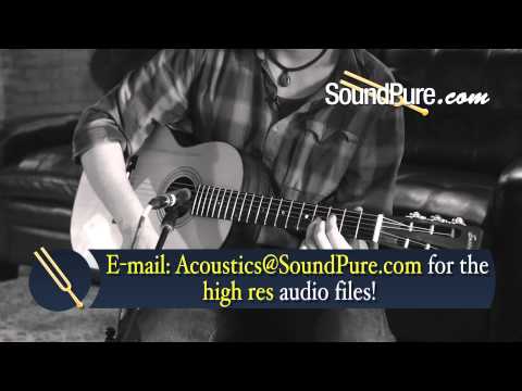 Eastman Parlor Acoustic Guitars: E10 P vs. E10 OO