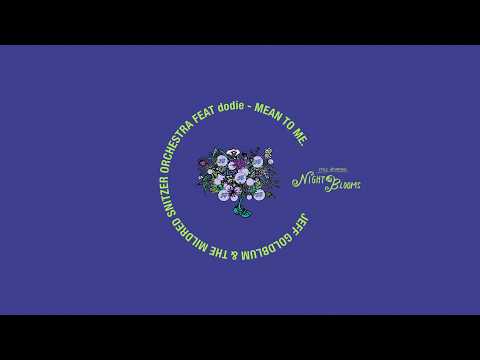 Jeff Goldblum & The Mildred Snitzer Orchestra and doddleoddle