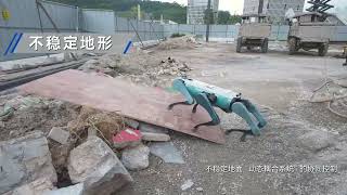 Field tests of the DOBOT hexapod bionic robot based on reinforcement learning have unleashed powe...