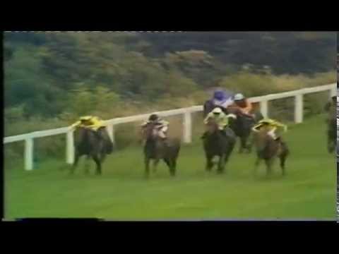 1981 Richmond Stakes Goodwood