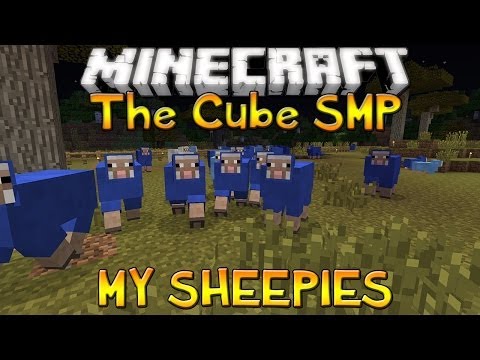 The Cube SMP - Episode 4 - MY SHEEEPIES