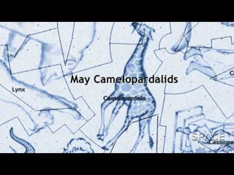How Do You Pronounce Camelopardalids? | Video