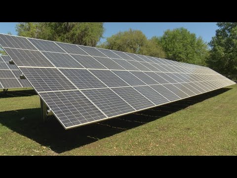 ‘We need to be conservators of our environment:’ New solar panels installed at Frank Long Element...