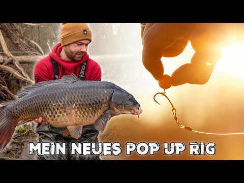 Das SPINNER RIG 🐋 | Das BESTE Pop Up Rig zum Karpfenangeln?