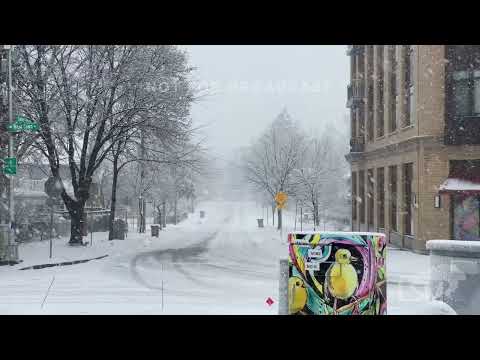 02-09-2023 Madison, WI - Heavy Snowfall