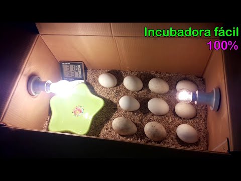 , title : 'Cómo hacer una incubadora de huevos para incubar huevos de pato en casa fácilmente'