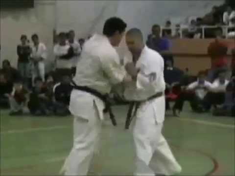 ALEX WALLMEN KYOKUSHIN SHINKYOKUSHIN KARATE