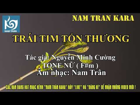 Karaoke Trái Tim Tổn Thương | Thiên Nga Đen Lệ Quyên | Nam Trân Tone Nữ