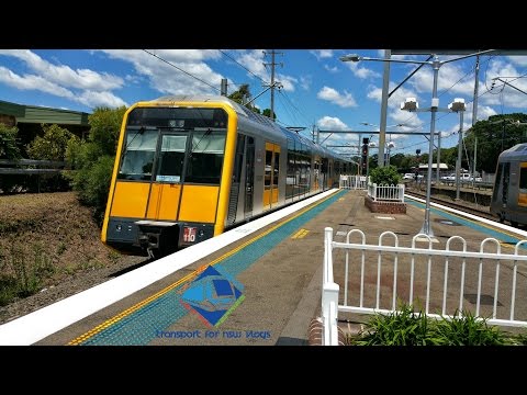 Transport for NSW Vlog No.432 Sutherland Pt 2