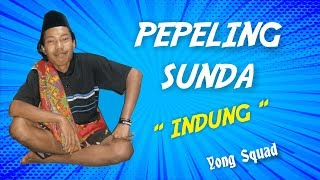 Download lagu PEPELING SUNDA Indung SEDIH BIKIN NANGIS mp3 Download lagu PEPELING SUNDA Indung SEDIH BIKIN NANGIS mp3