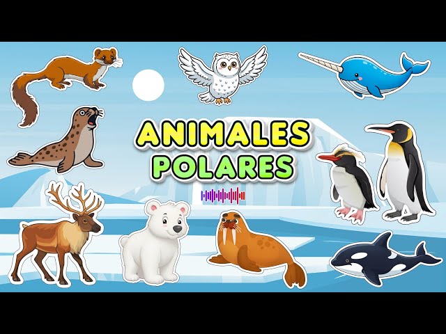 Vídeo relacionado con Animales árticos y antárticos Libro para niños: Conoce a los animales de la tundra helada