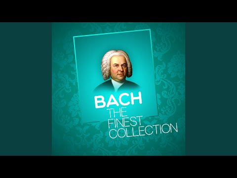 Video thumbnail for Brandenburg Concerto No. 3 in G, BWV 1048: II. Adagio Ma Non Tanto